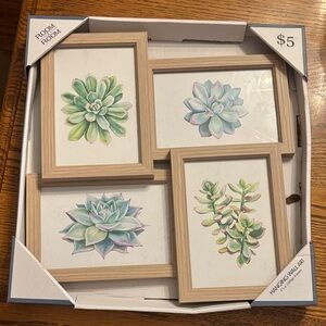 Natural Wood Frame Succulent Wall Art Set